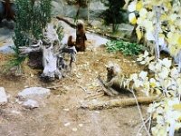 photos 2000-200901023